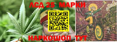 гидропоника Бугуруслан