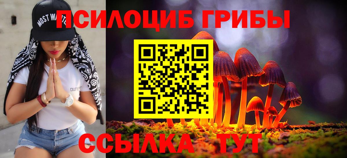 Хасавюрт  Псилоцибиновые грибы прущие грибы  Вход с VPN 