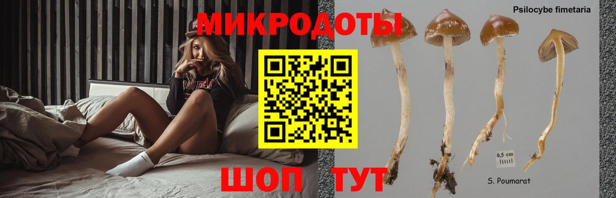 Псилоцибиновые грибы мухоморы Хасавюрт