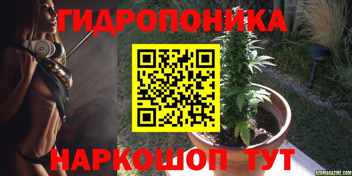 Бошки Шишки THC 21% Хасавюрт